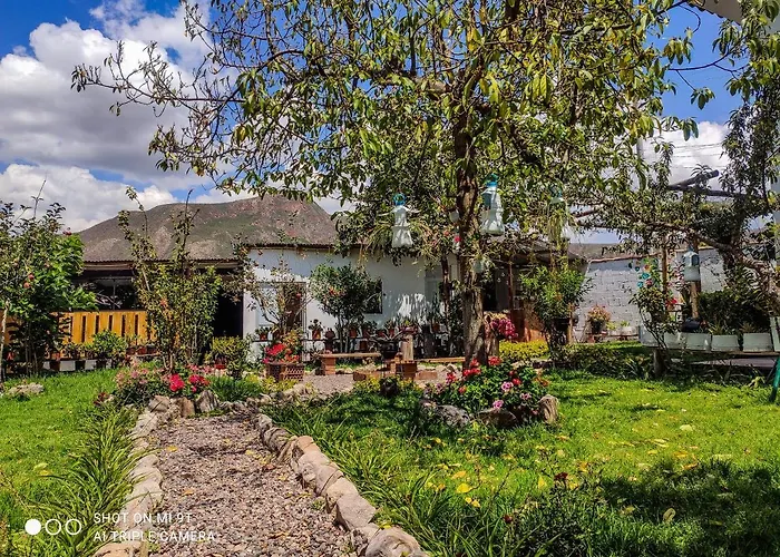 The Willow * Urubamba
